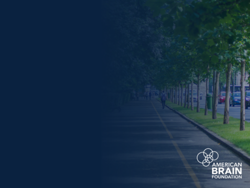 A blank image that gradually fades into an image of a walking path in a park to represent restoring the vision of patients with vision loss caused by demyelination.